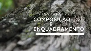 Fotografando no Parque - Composição e Enquadramento + Ensaio Fotógrafico -Aula Externa - Jacareí -SP