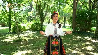 Лина Мачева – Два гълъба