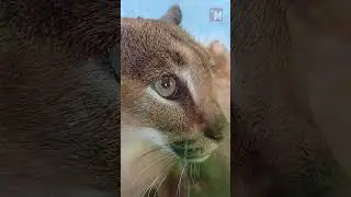 Когда посетители достали #travel  #zoo