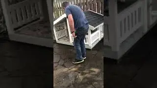 Анис осваивает собачий домик