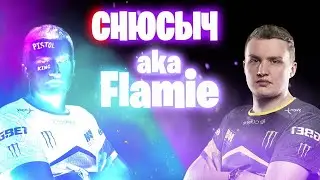 песня кс го  про флейми нави cs go пародия мамонтенка