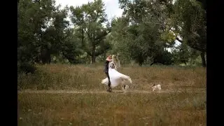 На этих снимках всё. Свадебный тизер