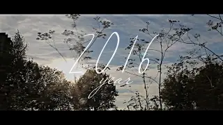 2016.