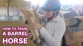 HOW TO TRAIN A BARREL HORSE (LESSON)