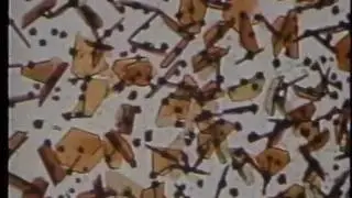 Race to Catch a Buckyball (Part 3 of 4)
