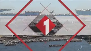 Watania 1 // Idents (2024)