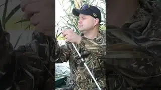 Рыбалка Маныч 