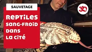 Sang-froid dans la cité !