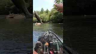 Choppo 120 Bass!! #bassfishing #kayakfishing