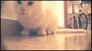 3 años con Baldo