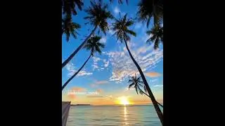 ABDULLOH_DOMLA