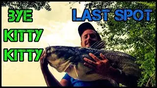 Will Catfish come to you? Last spot (summertime catfishing)