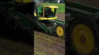 Potato Harvest #potatoes #harvest #farming #subscribe #shorts #tractor #agriculture #dji #kartoffeln