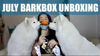 World CHOMPians July BarkBox Unboxing