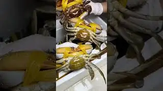 Sea Crab #everydaycooking #cooking #cookingfood #seafoodstew
