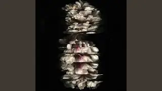 II