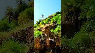 وادي إبن حماد الأردن لا يصدق أن هذا المنظر في الأردن رحلة أودية الأردن