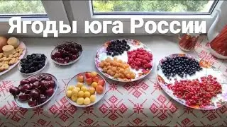#Ягоды на юге #России. Ягодный рай. Где купить, #цена. #Витамины летом, #Ростов июнь 2024