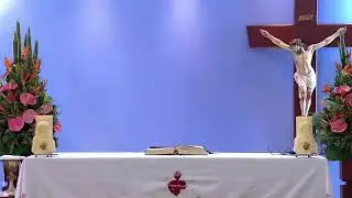 Transmisión en vivo de Interno Organización VID