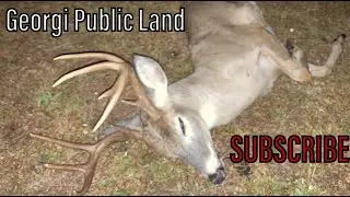 Georgia Public Land | Self Filmed Bow Hunt | BBD
