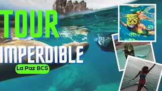 TOUR ISLA ESPIRITU, BALANDRA🌵🌊TODO INCLUIDO ✅ La Paz Baja California Sur