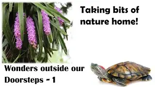 Taking home bits of nature :-)