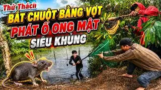 Bo Tu TV - Rat Hunting Challenge With A Net - Discovered A Massive Honeycomb - 