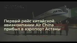 Китайцы прилетели. Весна....