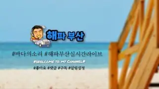 #시각장애  디지털 배움터 사람들 #소리와 터치로 만나는 스마트폰 세상 #신청곡테마   밀면과  냉면
