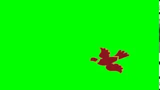 cartoon bird green screen
