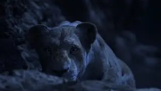 The Lion King 2019 - Nala Sneaks Out The Pride Lands I 4K Ultra HD