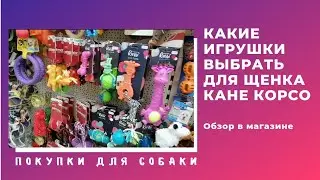 Игрушки для щенка. Какие игрушки выбрать щенку. Обзор в магазине.