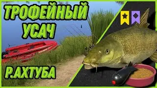 ТРОФЕЙНЫЙ УСАЧ - АХТУБА - LIVE СТРИМ #fishing #stream #рр4  #русскаярыбалка4 #море #тикток