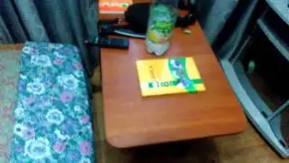 Хочешь это видео лайк да дизлайк нет
