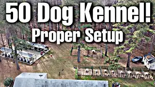 Proper kennel setup ideas!