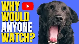 How To Stand Out on YouTube in 2024