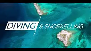 Diving & Snorkelling in Turks and Caicos (South Caicos, East Bay Resort)