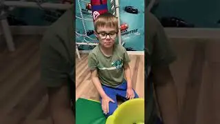 Черепаха и хомяки. Первая встреча