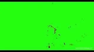 Hd Blood Burst with Motion Blur 184 green screen