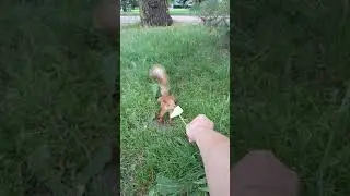 2 августа 2018 г.