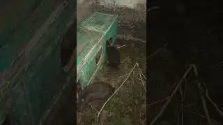 кролики