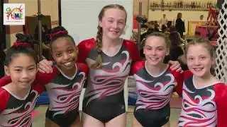 gym tiME Xcel Teams  2018 - 2019