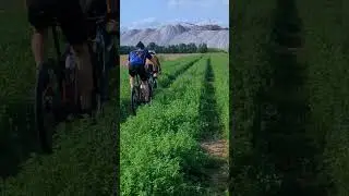 Mountain bike .#mtb #mountainbike #sports #cycling