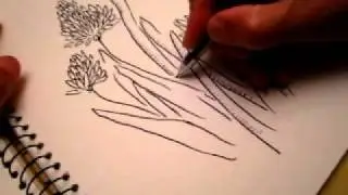 Drawing with blablabla asmr