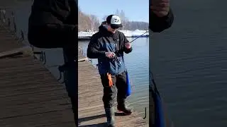 Sexy Impact цвет Motor Oil Red Flaje