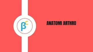 ANATOMI ARTHRO (PERSENDIAN)