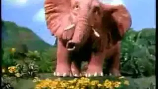 MTV   Elephant