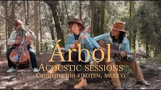 Árbol  🌳 - PAPELMACHE (Sesión acústica) Live