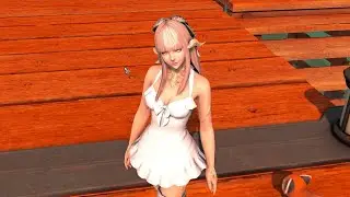 FFXIV ROLEPLAYERS