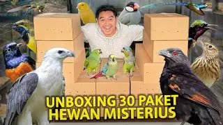 UNBOXING 30 PAKET HEWAN MISTERIUS SEKALIGUS! DAPET JACKPOT BURUNG GACOR?!